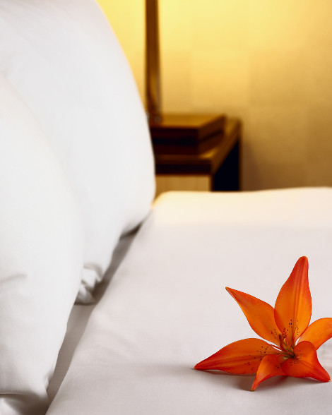 Blume auf frisch bezogenem Bett Blume auf frisch bezogenem Bett